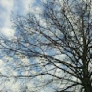 Meet your Posher, Teisha